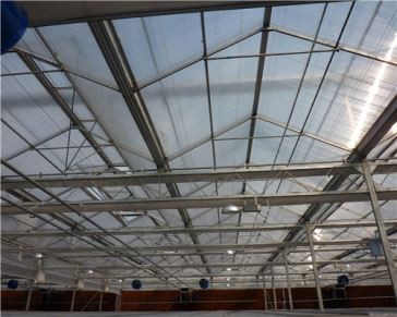 Bersihkan Lembar Hollow Polycarbonate